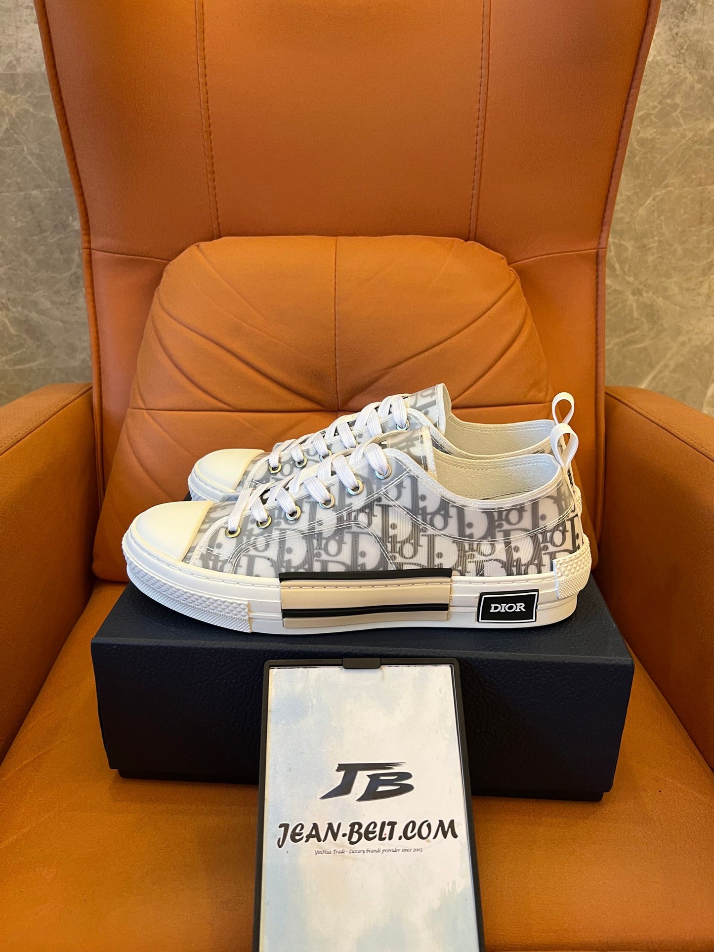 Dior B23 Low Snker