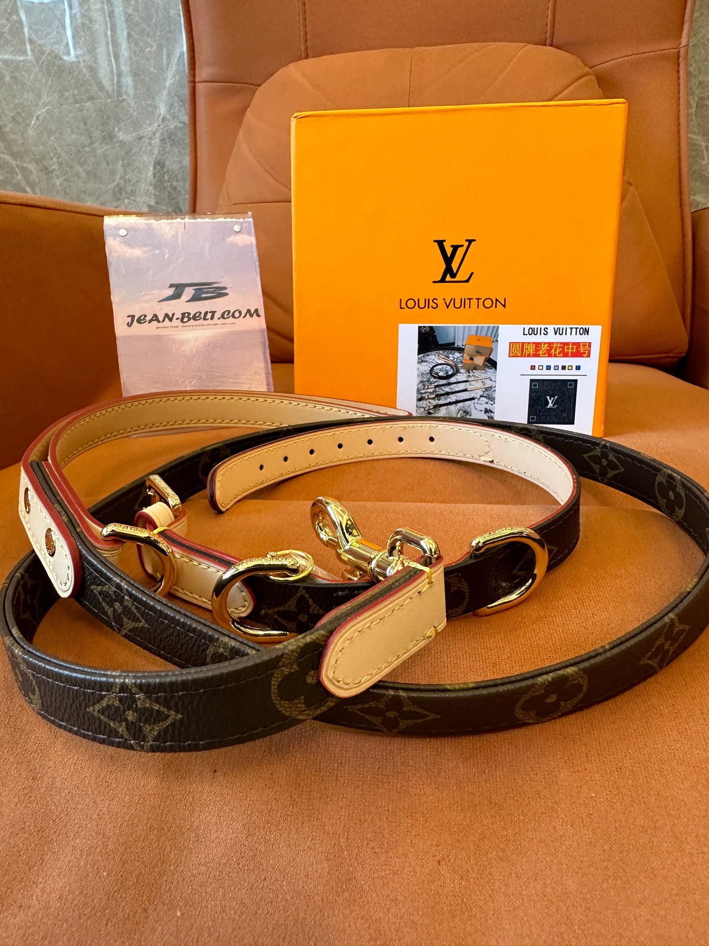 Louis Vuitton Pet Leash – Adjustable Leather & Metal