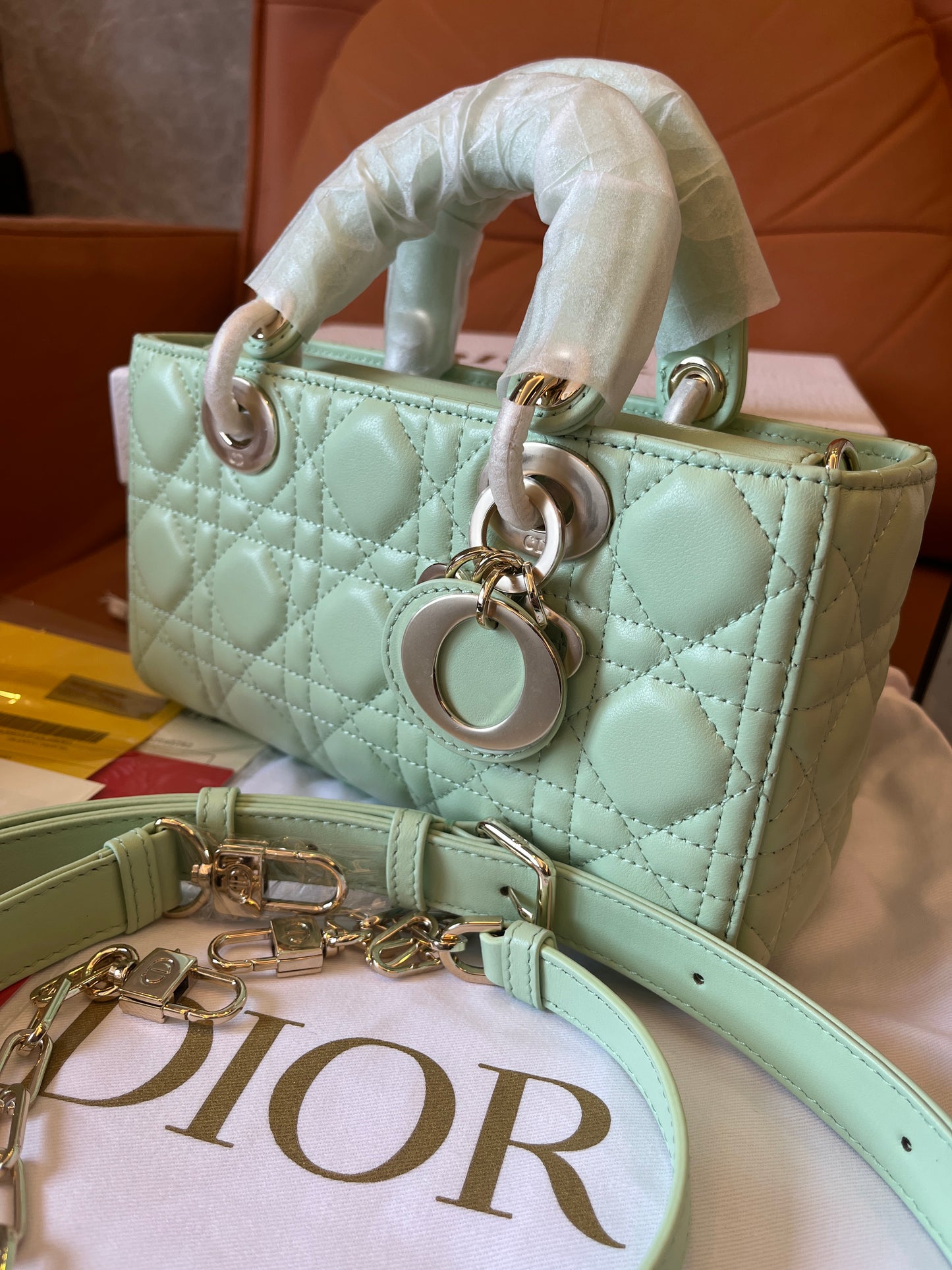 Christian Dior Lambskin Cannage Medium Lady D-Joy Pastel Peyote Green