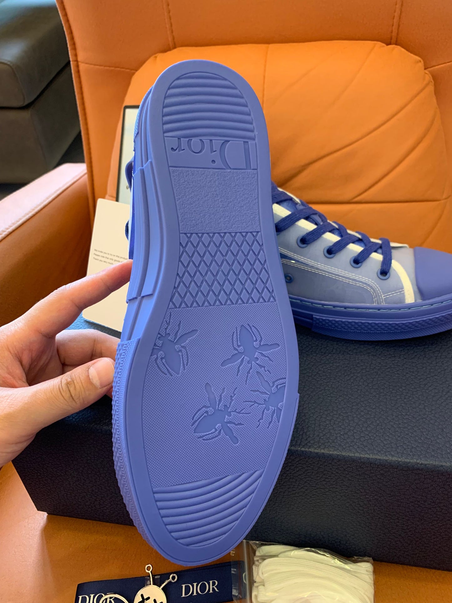 Christian Dior B23 lona oblicua azul