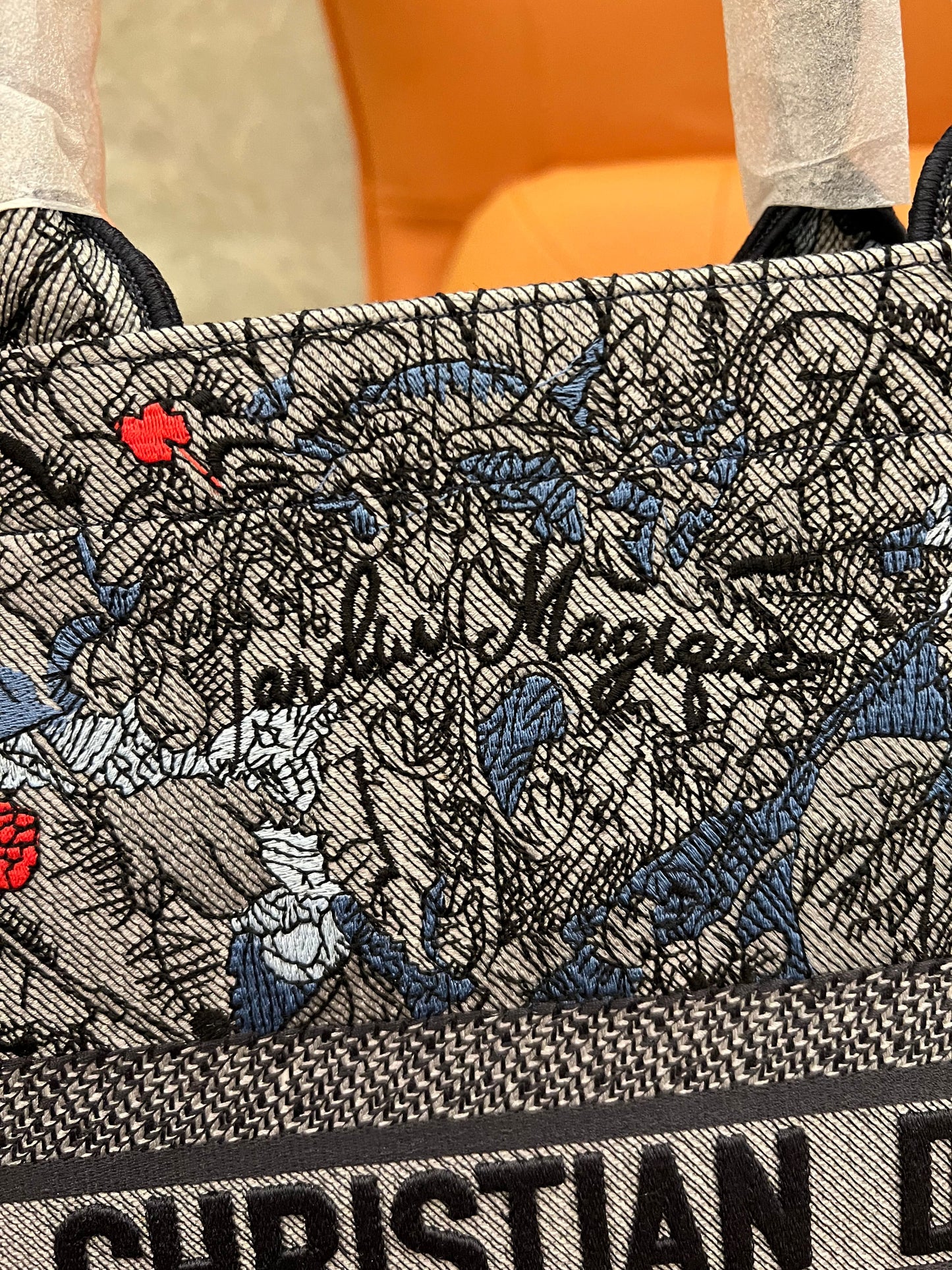 Dior book tote jardin magique