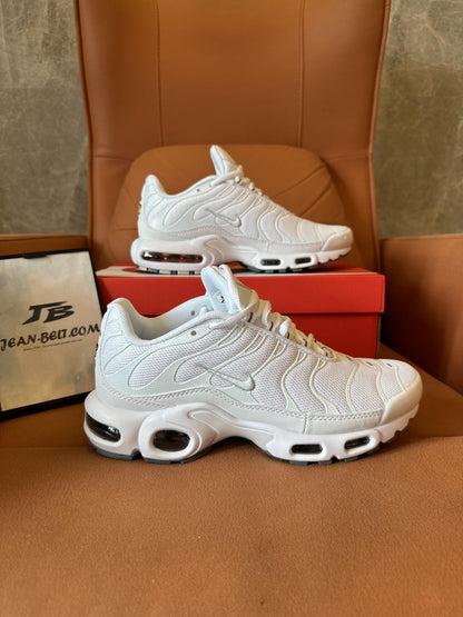 Zapatillas Nike Air Max Plus blancas y grises