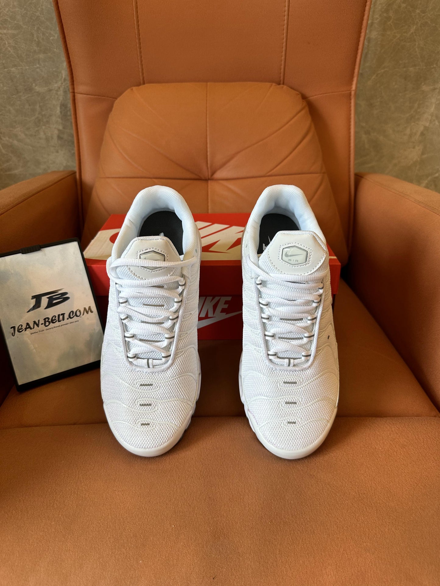 Zapatillas Nike Air Max Plus blancas y grises