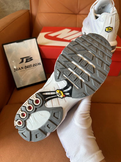 Zapatillas Nike Air Max Plus blancas y grises