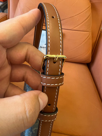 Celine Triomphe Shoulder Bag in Canvas and Calfskin Brown