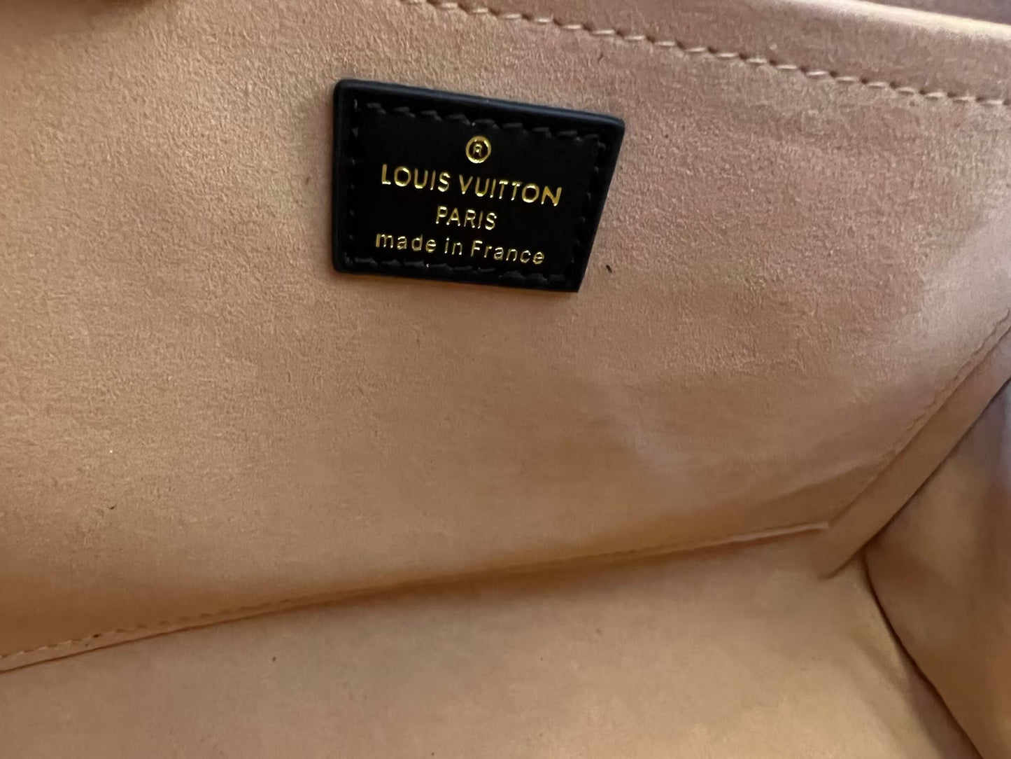 Bolso Louis Vuitton en mi bolso lateral