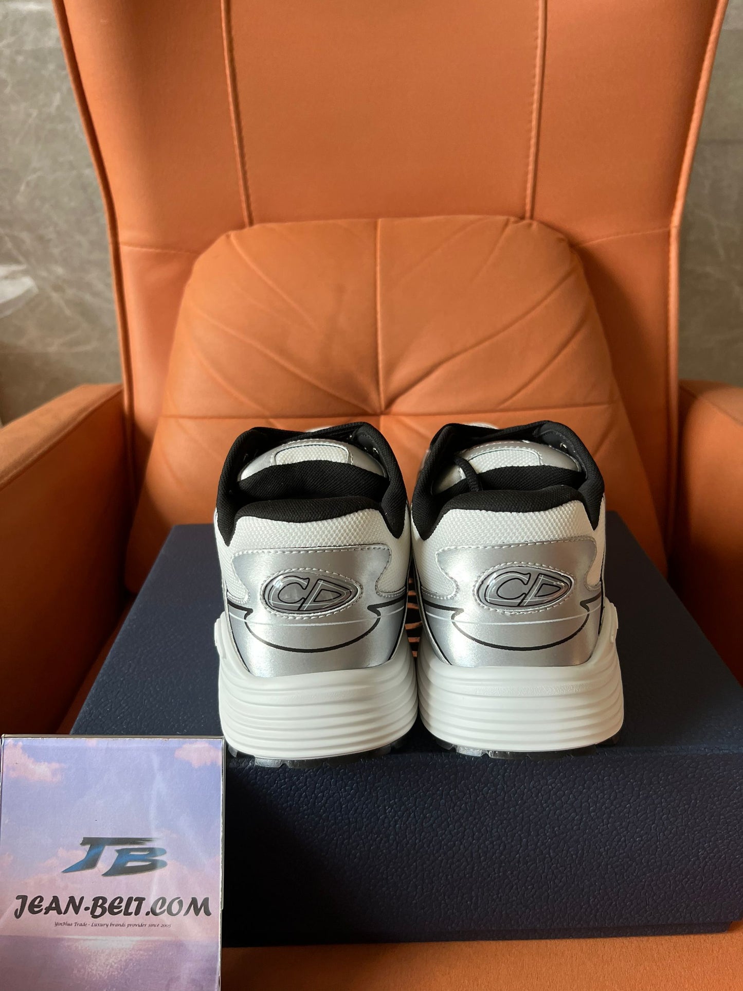 Zapatillas reflectantes Dior B30 Runner