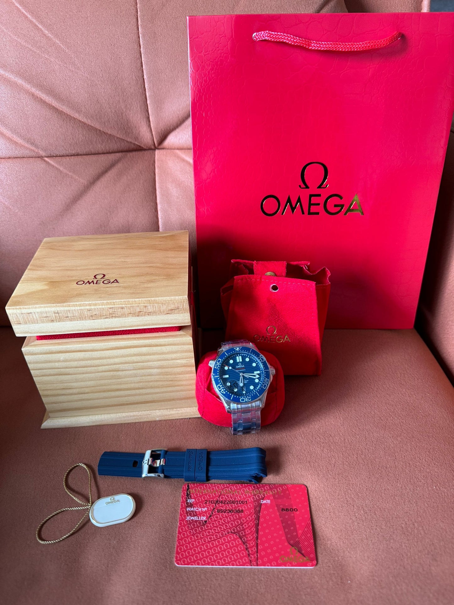 Cronómetro maestro coaxial Omega Seamaster Diver 300M