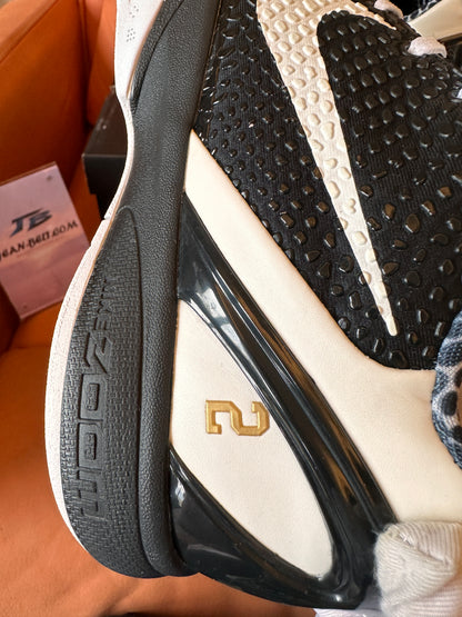 Zapatillas Kobe 6 Skyrunner CW2190-002