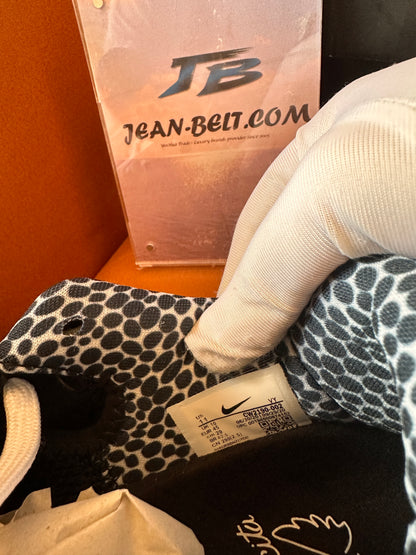 Zapatillas Kobe 6 Skyrunner CW2190-002