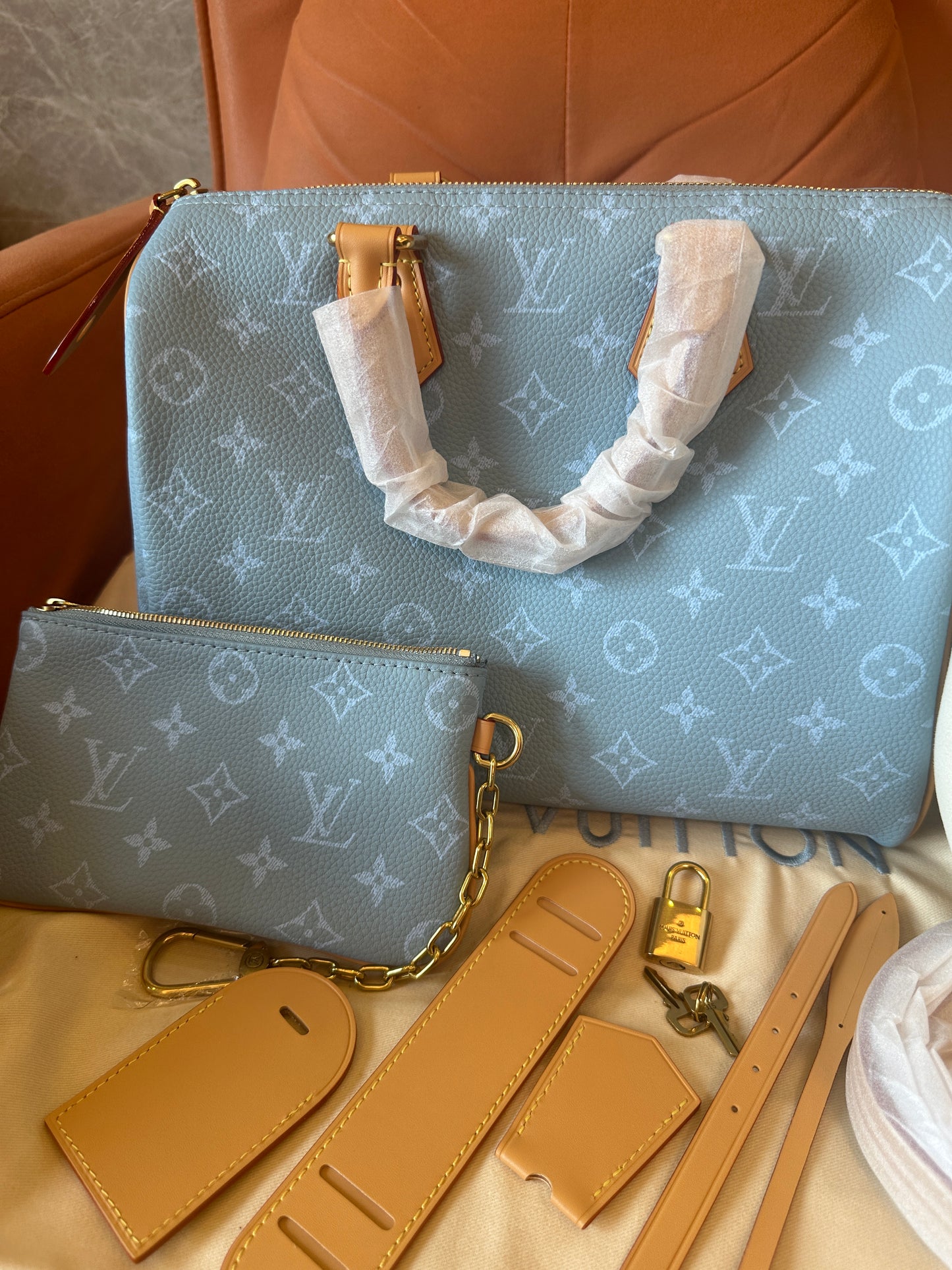 Louis Vuitton Blue Monogram Leather Speedy 30 Handbag