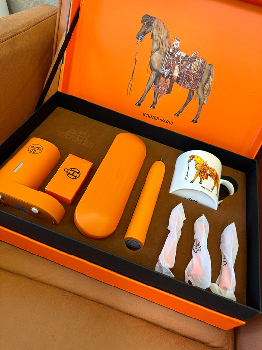 Hermes Electric Toothbrush Gift Set