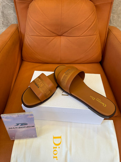 Christian Dior Dway Flat Slide Sandals in Tan Brown