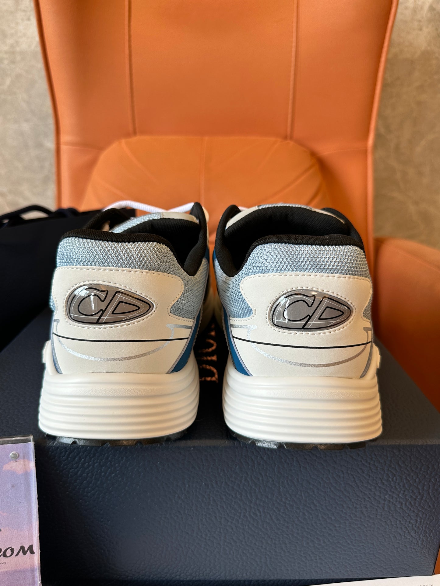 Dior B30 Sneaker Grey Blue CD Reflective Logo