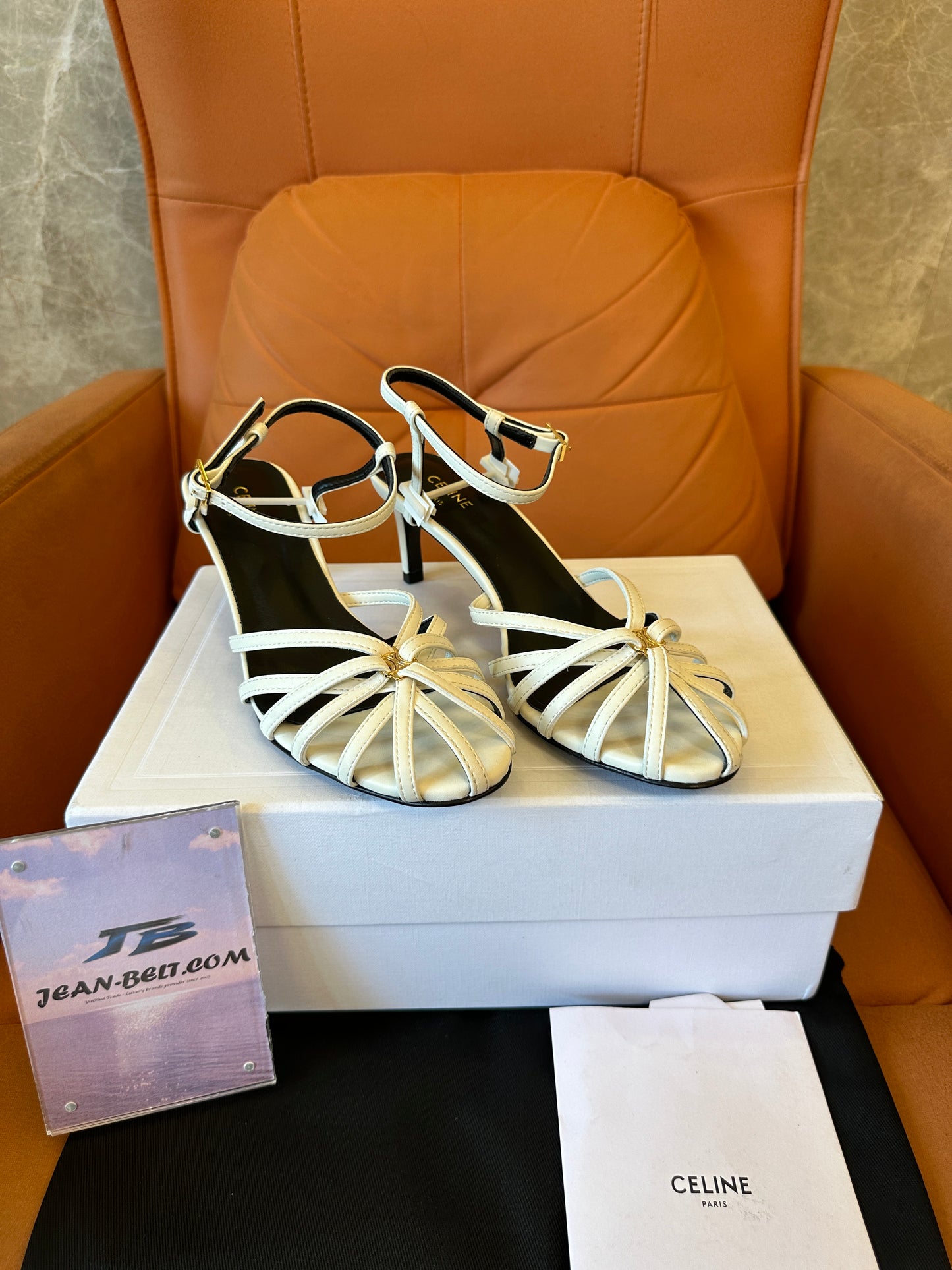 Celine Triomphe Strappy Sandals in White Leather