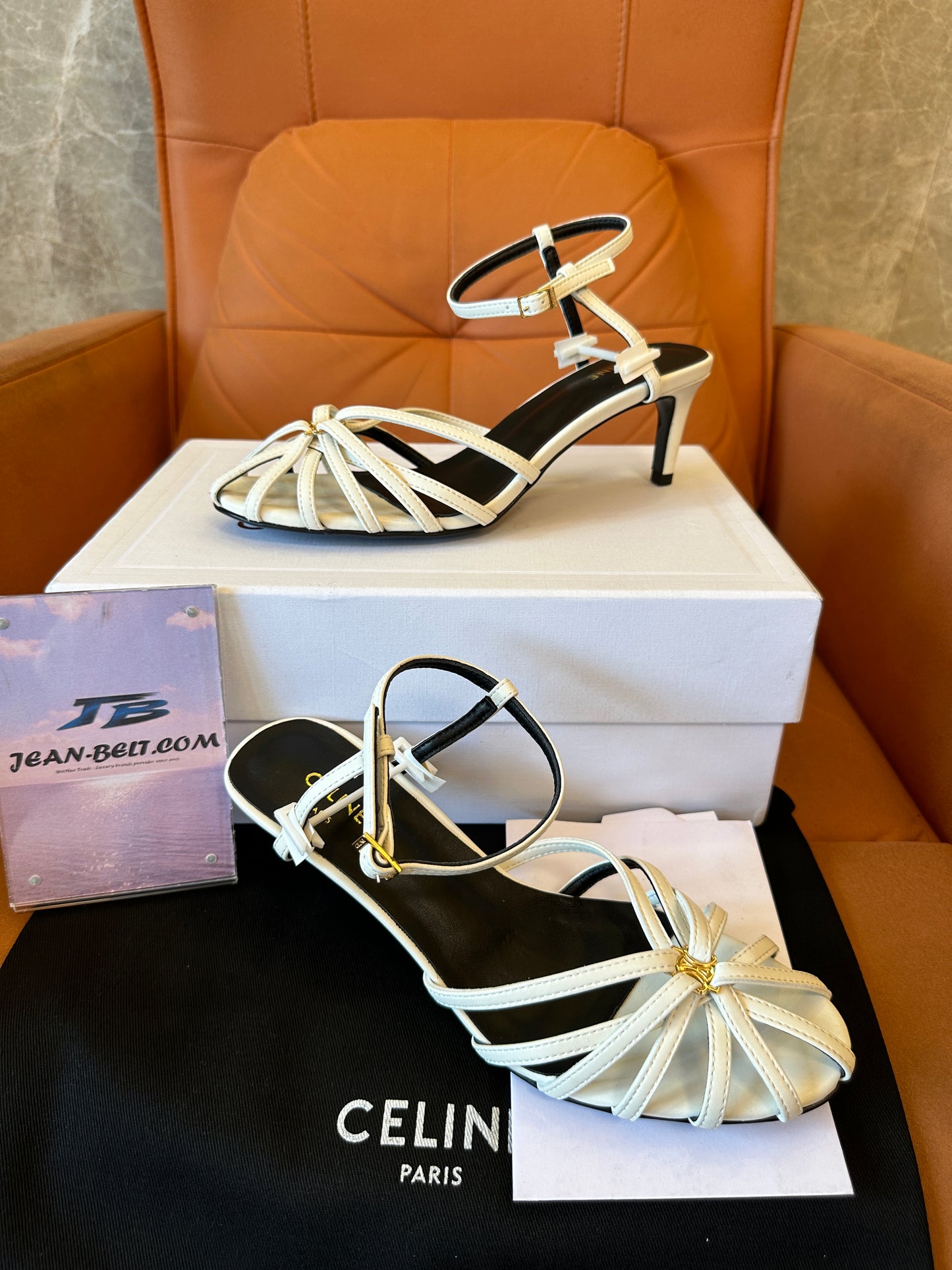 Celine Triomphe Strappy Sandals in White Leather