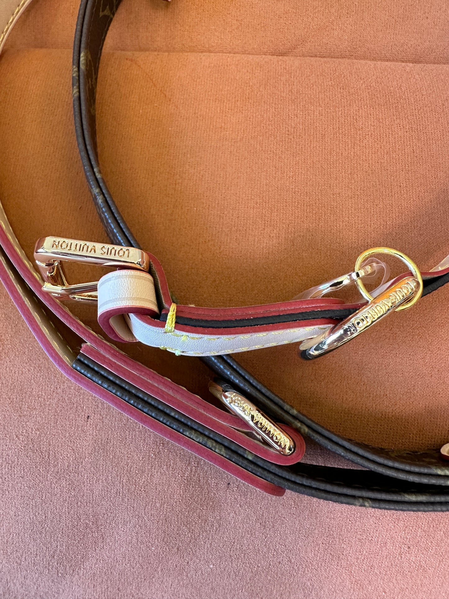 Louis Vuitton Pet Leash – Adjustable Leather & Metal