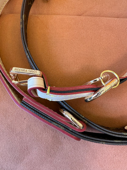 Louis Vuitton Pet Leash – Adjustable Leather & Metal