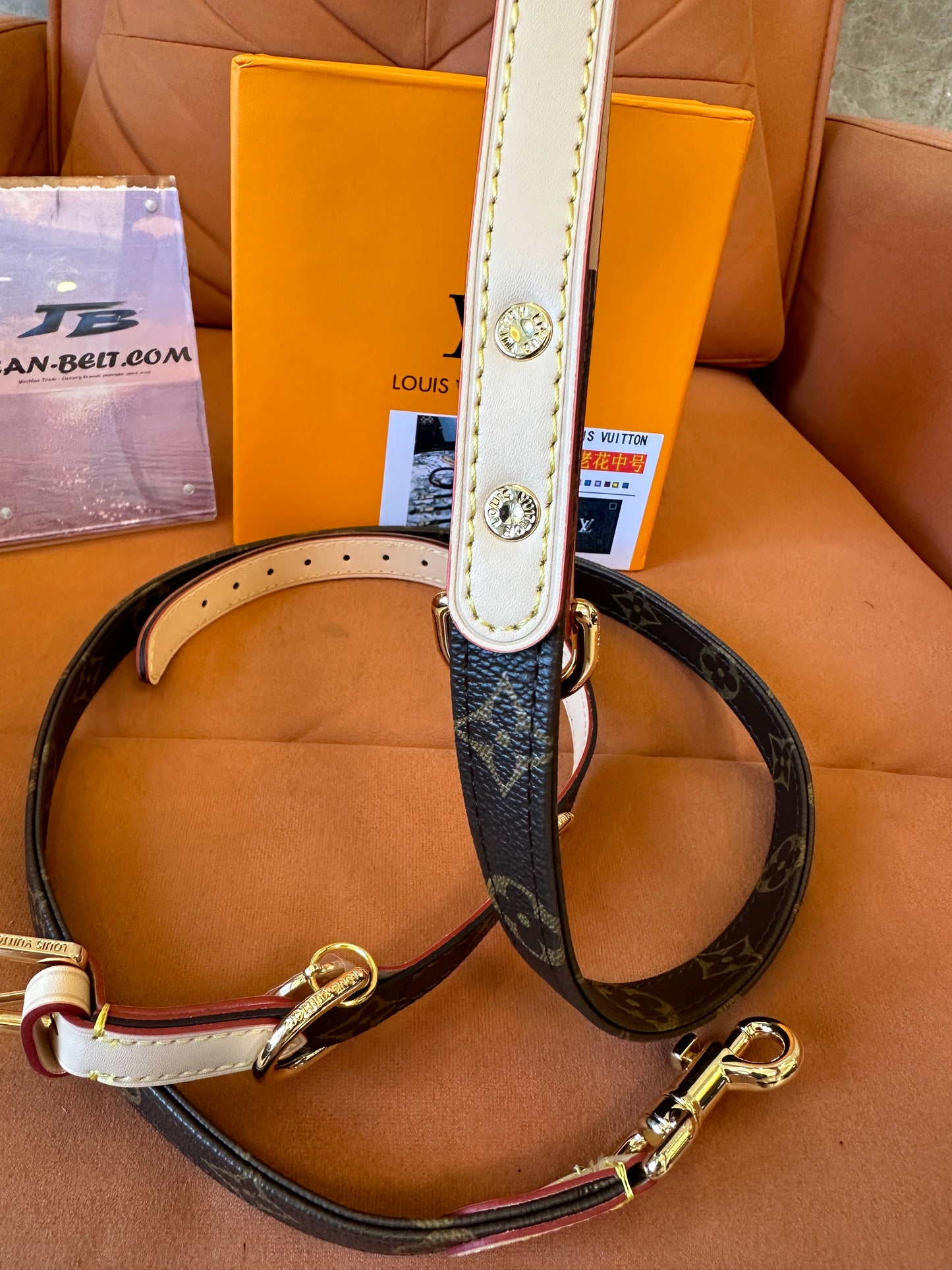Louis Vuitton Pet Leash – Adjustable Leather & Metal
