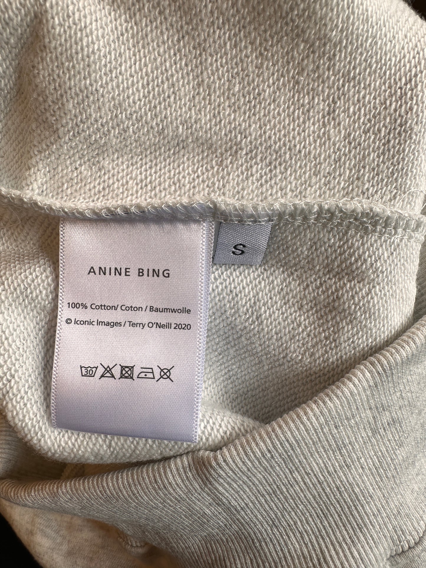 Anine Bing Harvey Sport Grey Hoodie