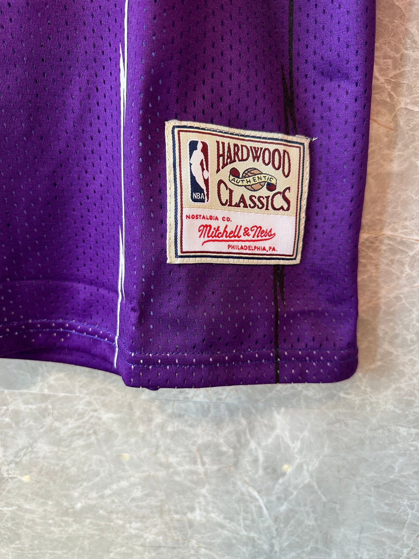 Toronto Raptors Retro Basketball Jersey – Purple Dinosaur Edition