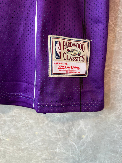 Toronto Raptors Retro Basketball Jersey – Purple Dinosaur Edition