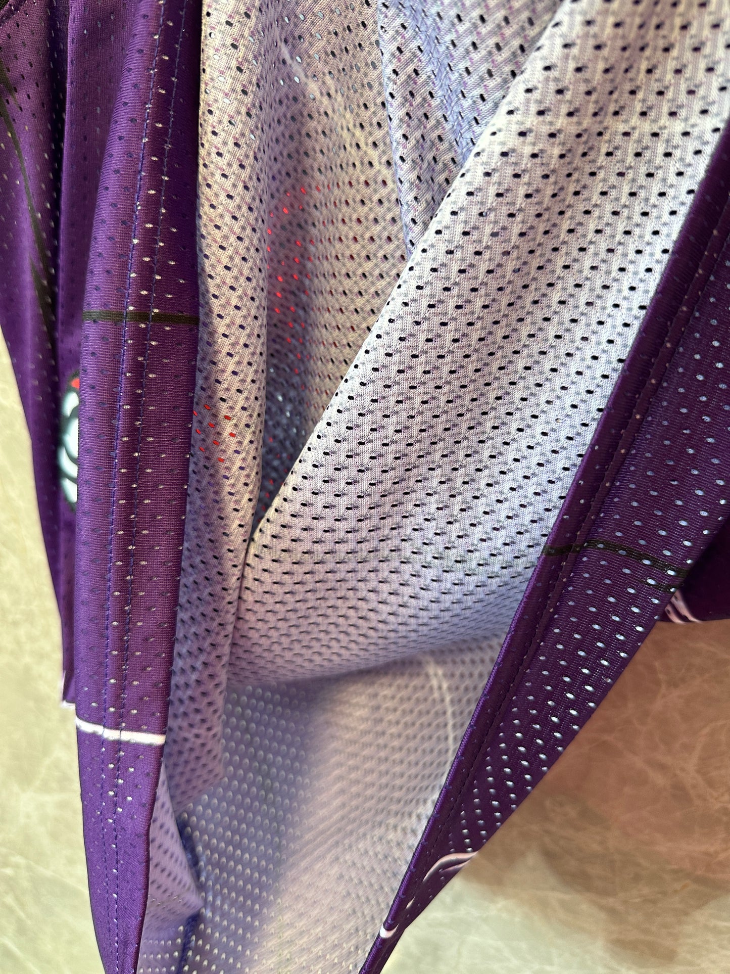 Toronto Raptors Retro Basketball Jersey – Purple Dinosaur Edition