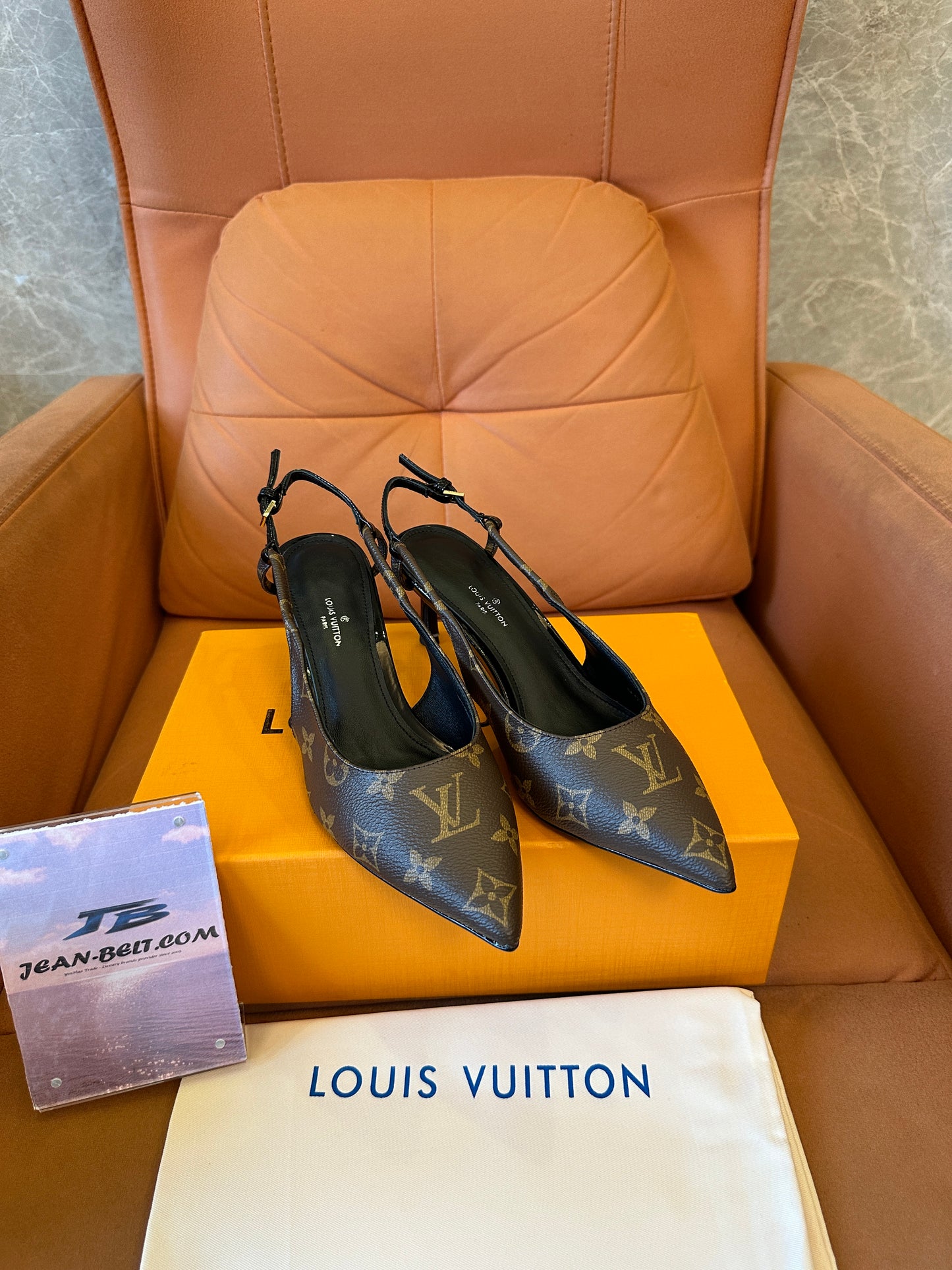 Louis Vuitton Monogram Slingback Pointed-Toe Heels