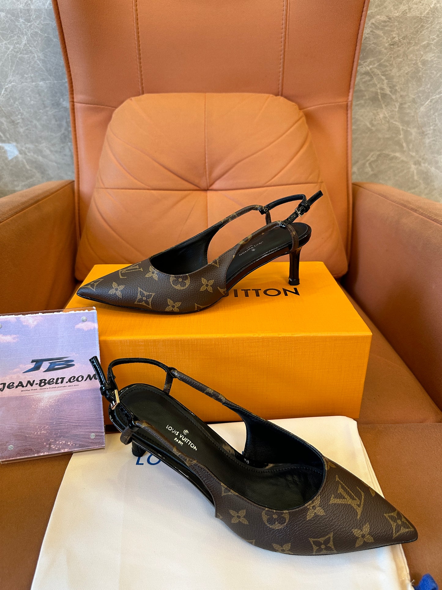 Louis Vuitton Monogram Slingback Pointed-Toe Heels