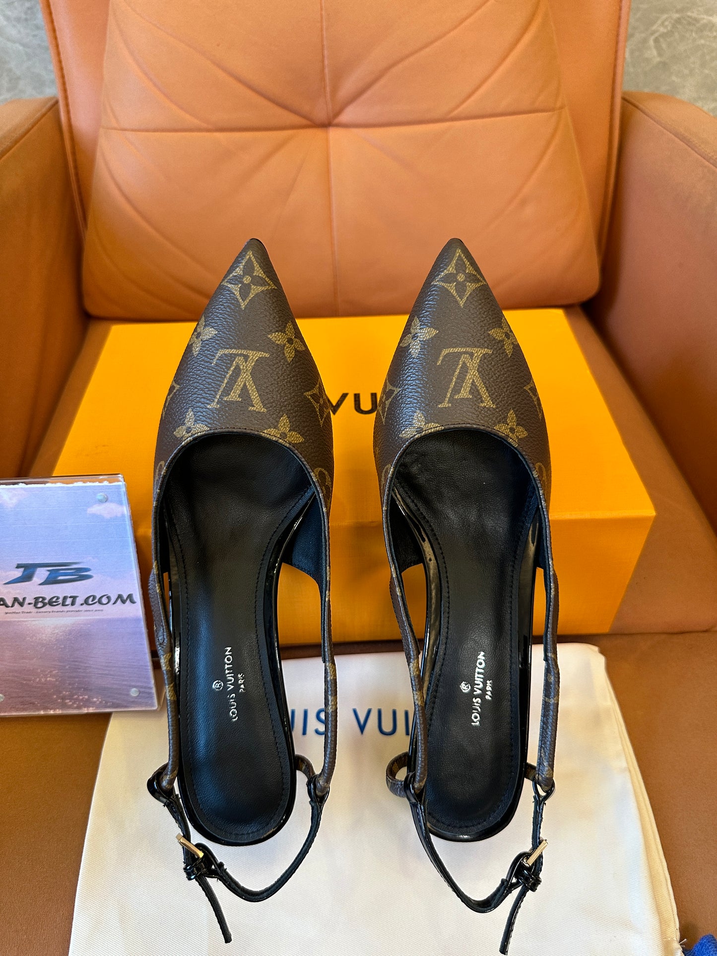 Louis Vuitton Monogram Slingback Pointed-Toe Heels