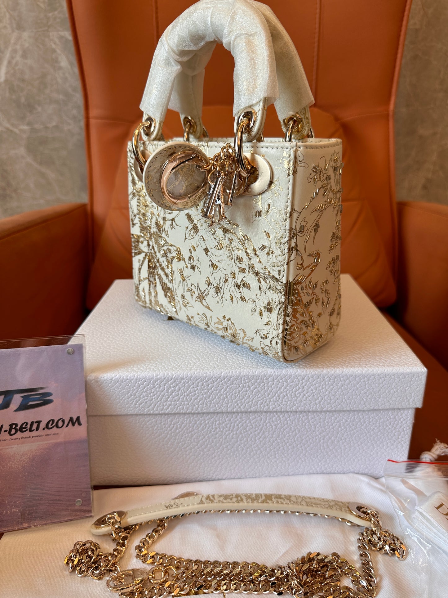 Christian Dior Lady Dior Mini Bag