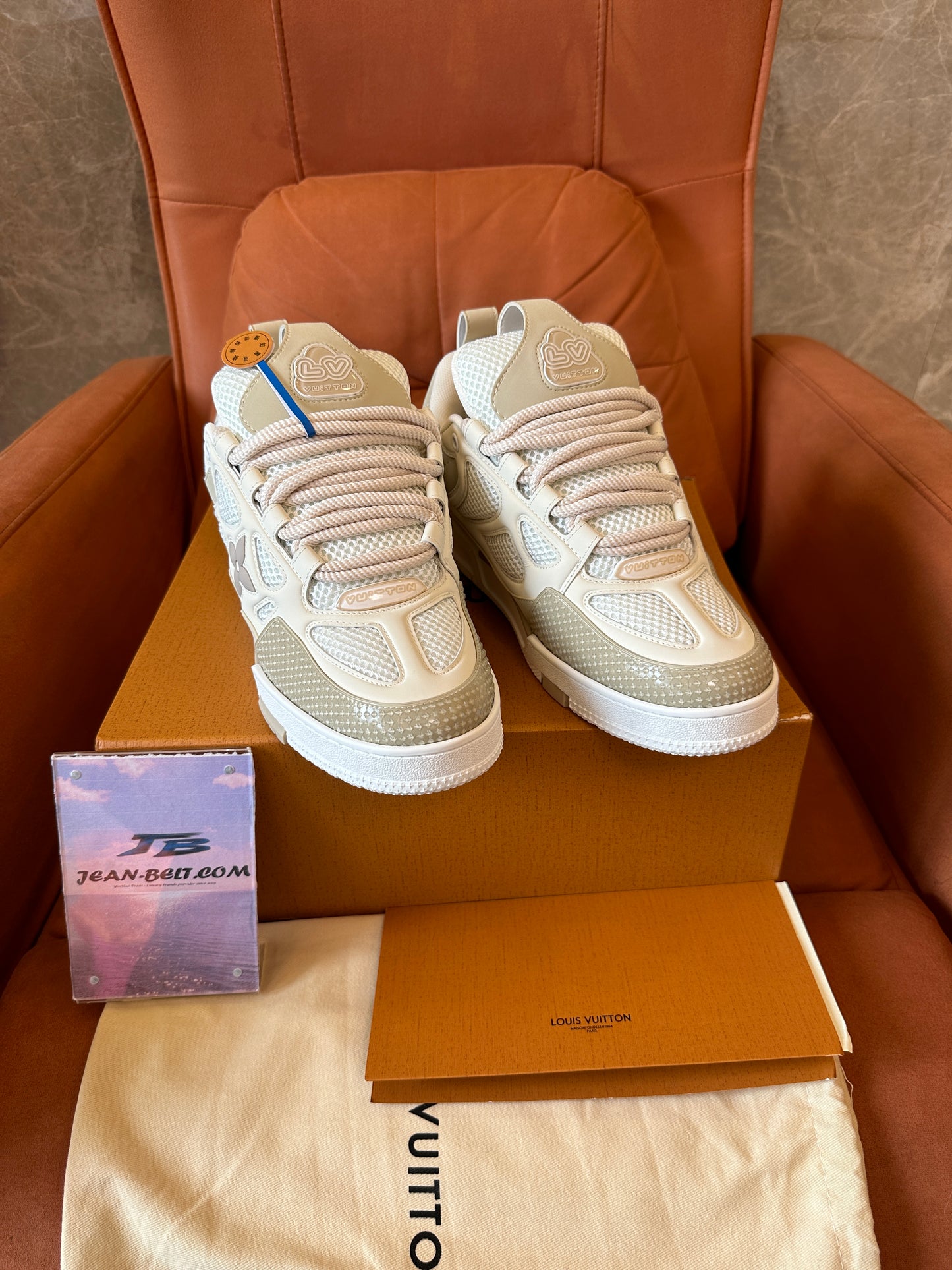 Louis Vuitton LV Trainer Low-Top Mesh Sneakers