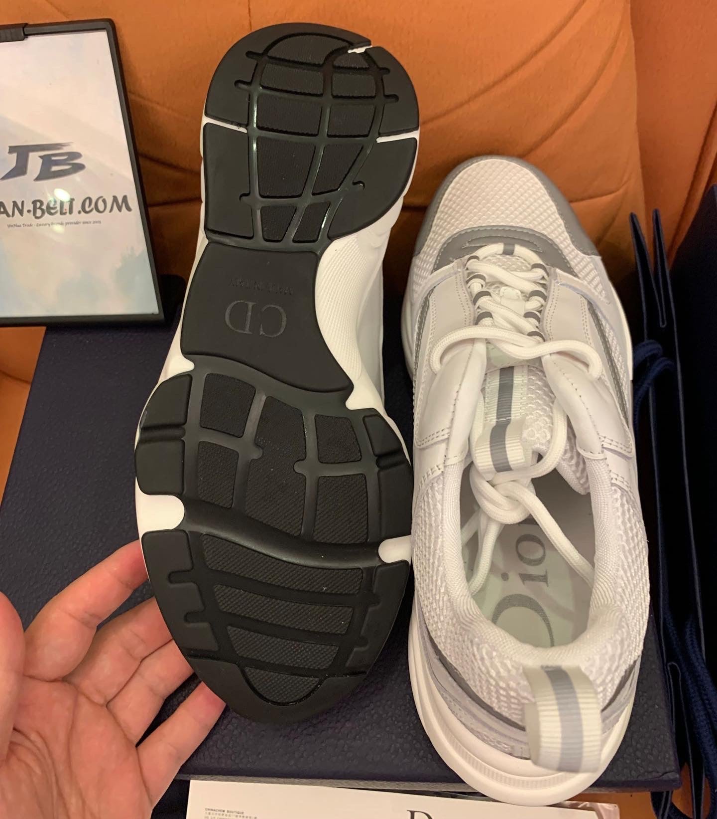 Dior B22 branco prata
